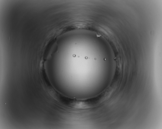 X0000088860507200706081155