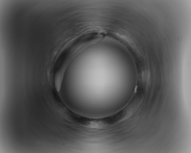 X0000088860508200706081155