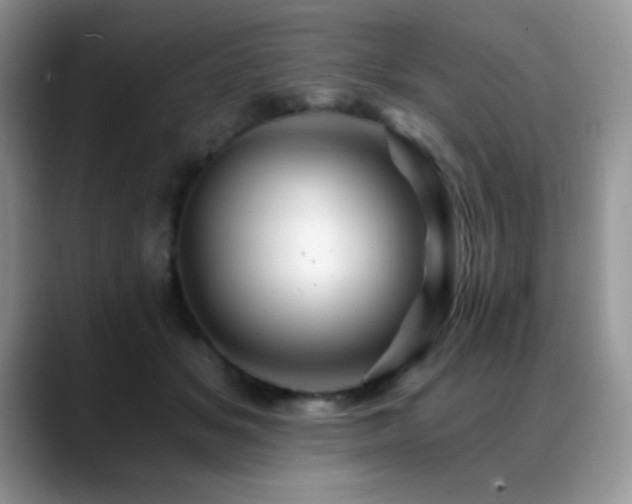 X0000088860509200706081155