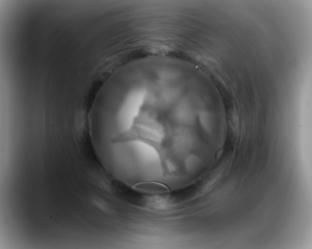 X0000088860511200706081155
