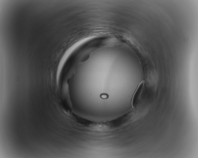 X0000088860512200706081155