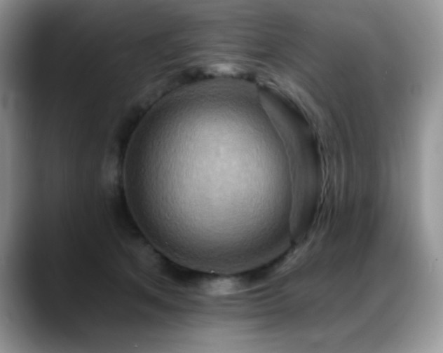 X0000088860513200706081155