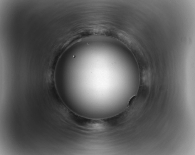 X0000088860514200706081155