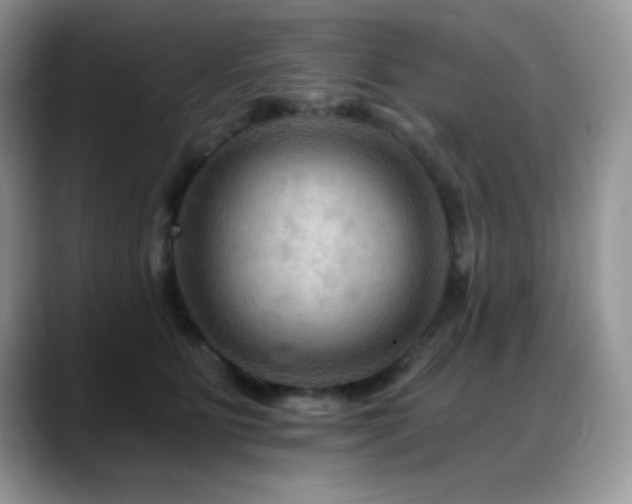 X0000088860515200706081155