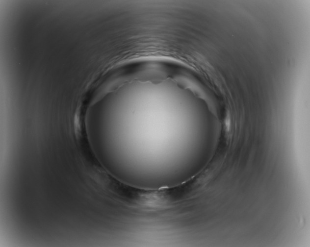 X0000088860516200706081155