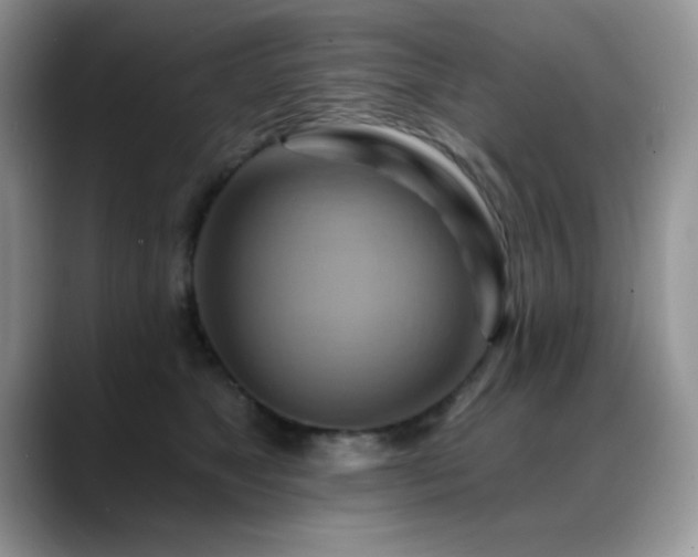 X0000088860517200706081155