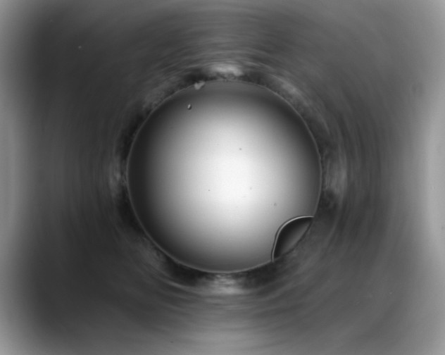 X0000088860518200706081155