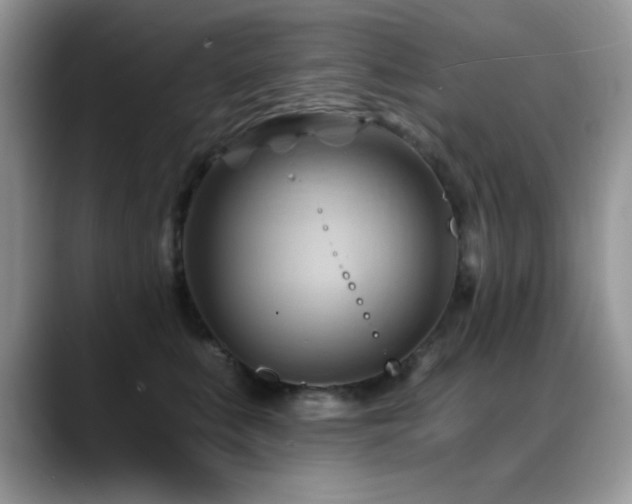 X0000088860519200706081155