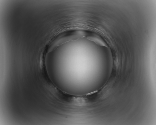 X0000088860520200706081155