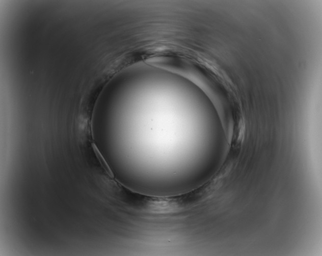 X0000088860521200706081155