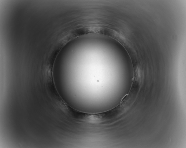 X0000088860522200706081155