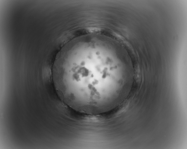 X0000088860523200706081155