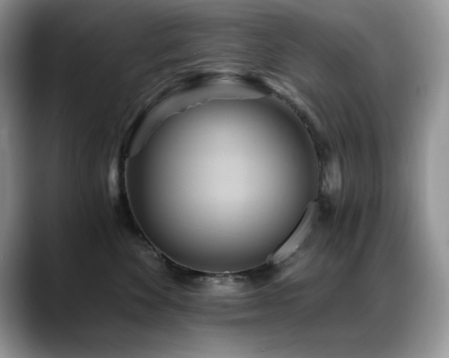 X0000088860524200706081155