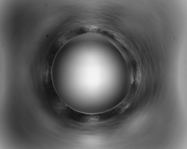 X0000088860525200706081155
