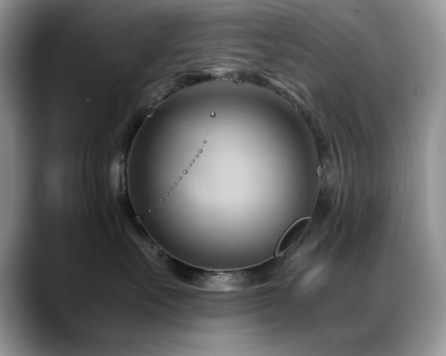 X0000088860527200706081155