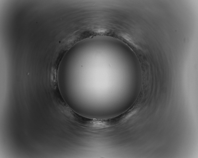 X0000088860528200706081155
