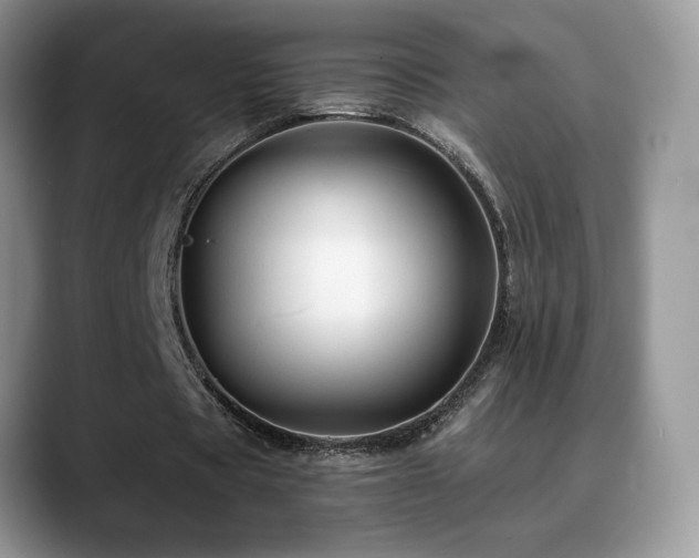 X0000088860529200706081154