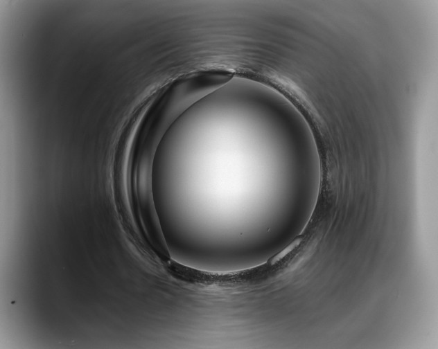 X0000088860530200706081154