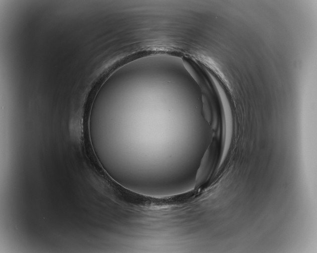 X0000088860531200706081154