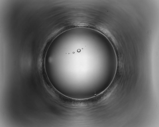 X0000088860533200706081154