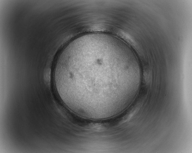 X0000088860534200706081154