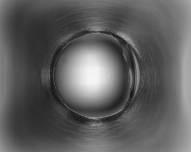X0000088860535200706081154