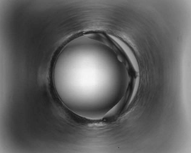 X0000088860536200706081154