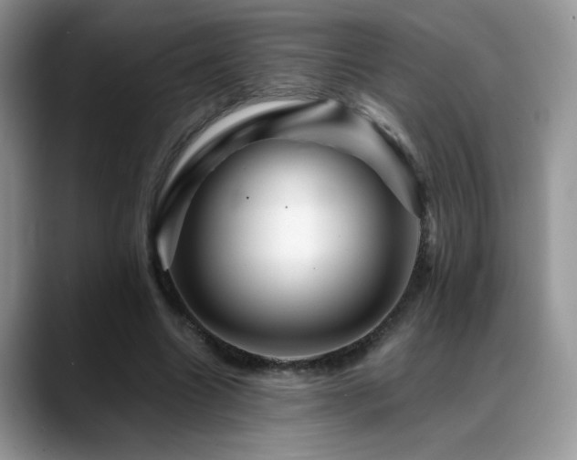 X0000088860538200706081154