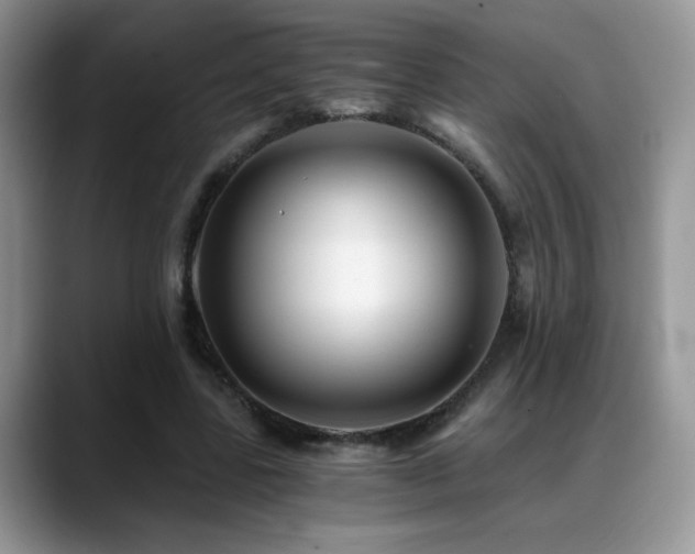 X0000088860539200706081154