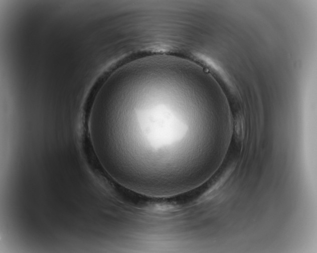 X0000088860540200706081154