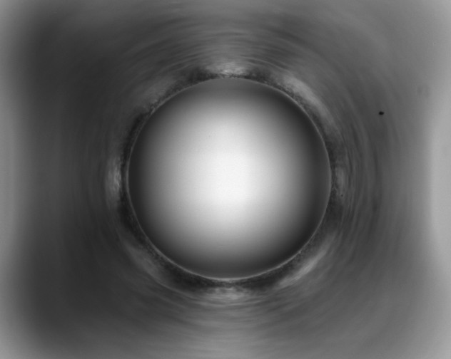 X0000088860541200706081154
