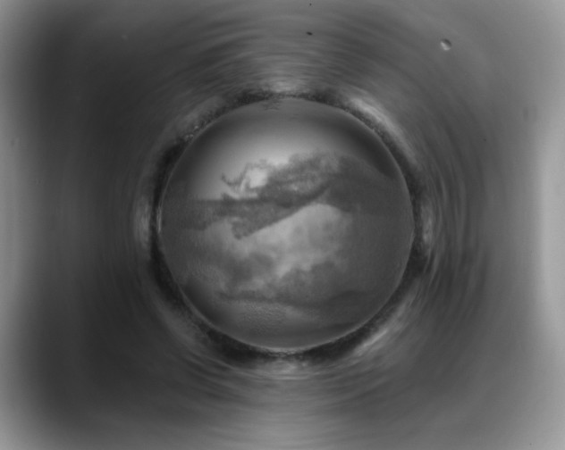 X0000088860542200706081154