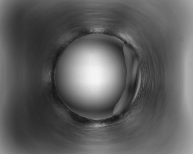 X0000088860543200706081154