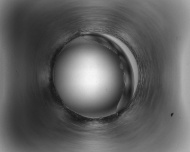 X0000088860544200706081154