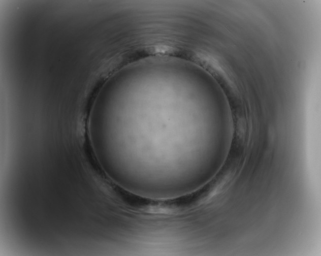 X0000088860545200706081154
