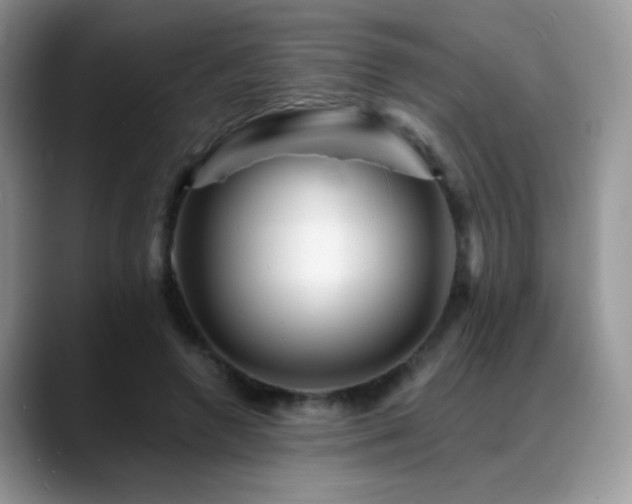 X0000088860546200706081154