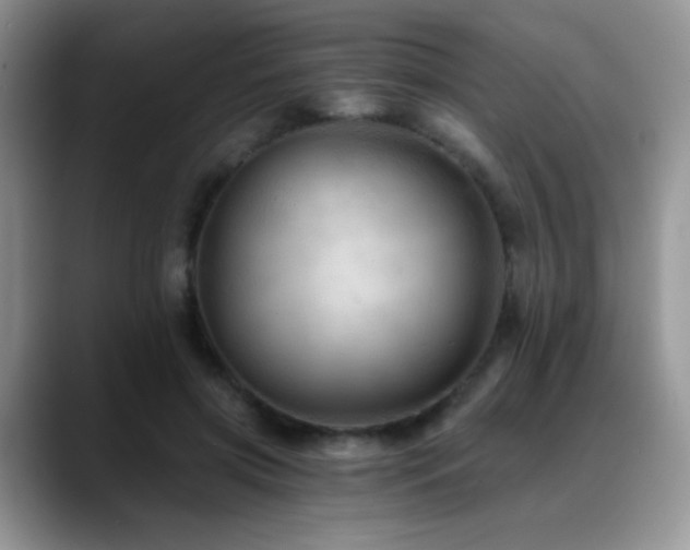 X0000088860549200706081155