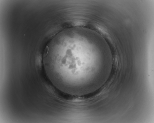X0000088860550200706081155