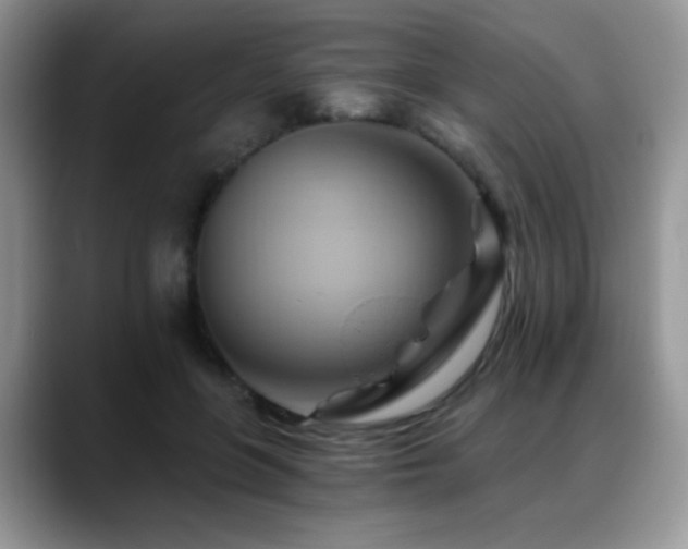 X0000088860551200706081155