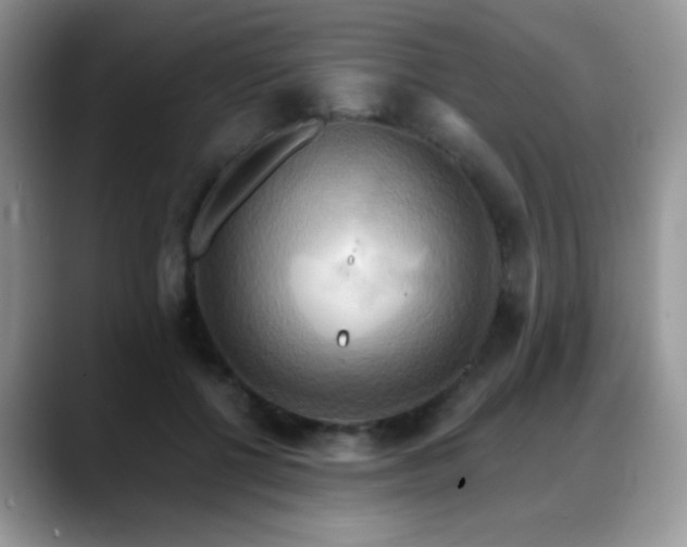 X0000088860552200706081155