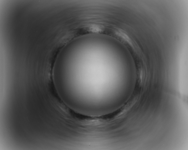 X0000088860553200706081155