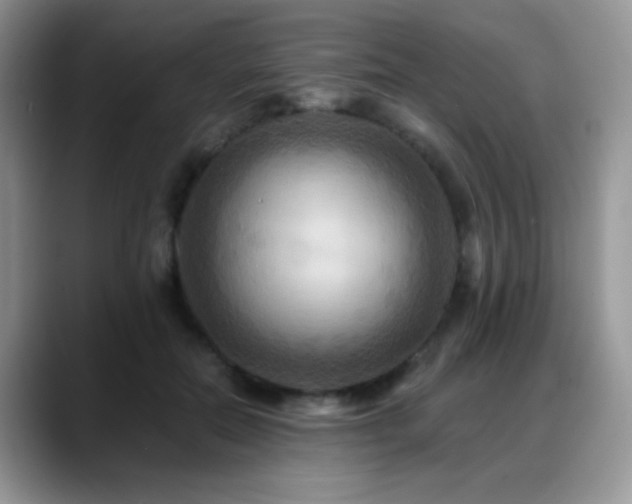 X0000088860554200706081155