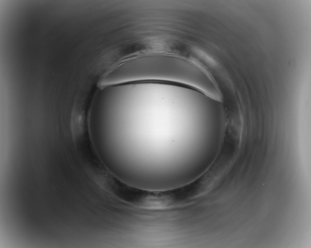 X0000088860556200706081155