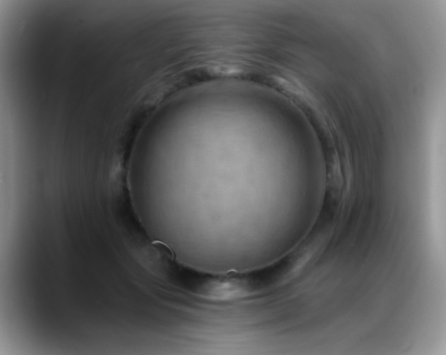 X0000088860557200706081155