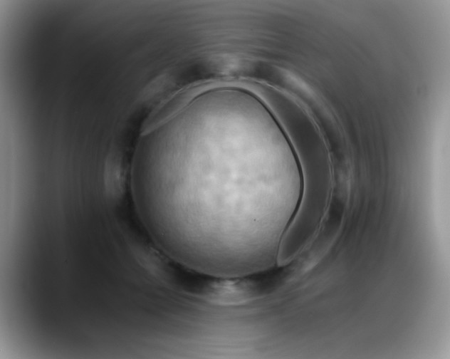 X0000088860558200706081155