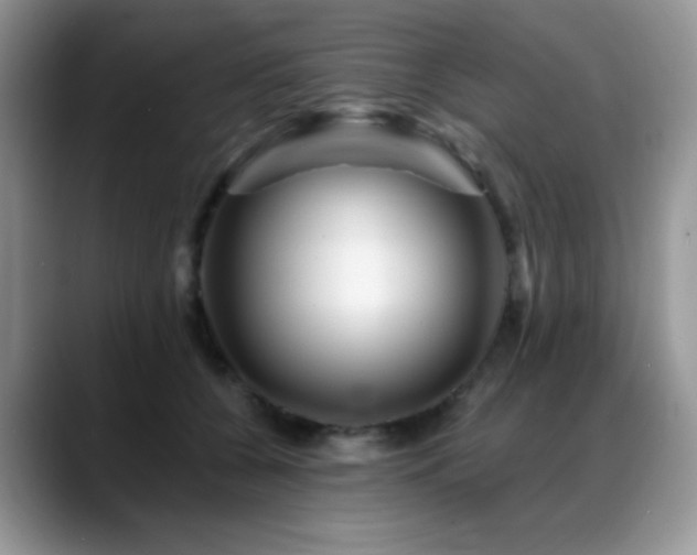 X0000088860560200706081155