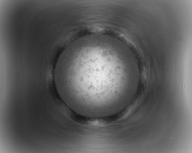 X0000088860561200706081155