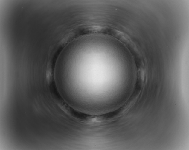 X0000088860564200706081155
