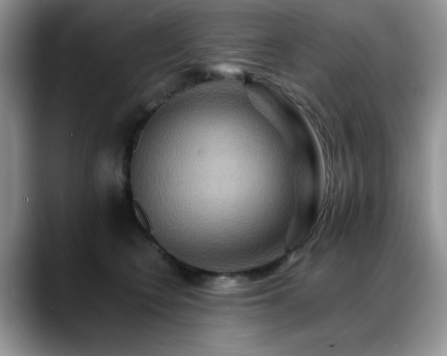 X0000088860566200706081155