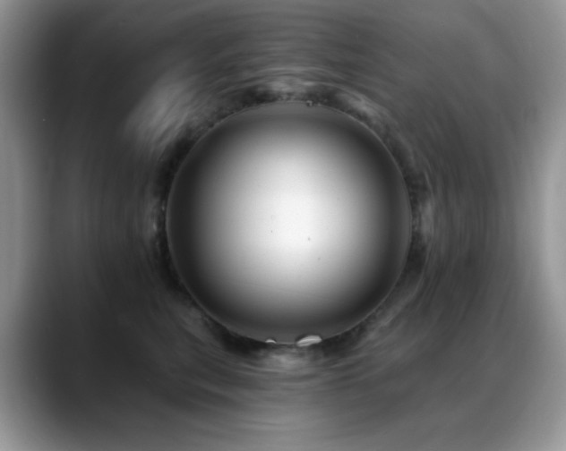 X0000088860567200706081155